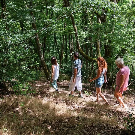 Apartament Nature & Bien-etre - Grand Ballon - Vue Foret