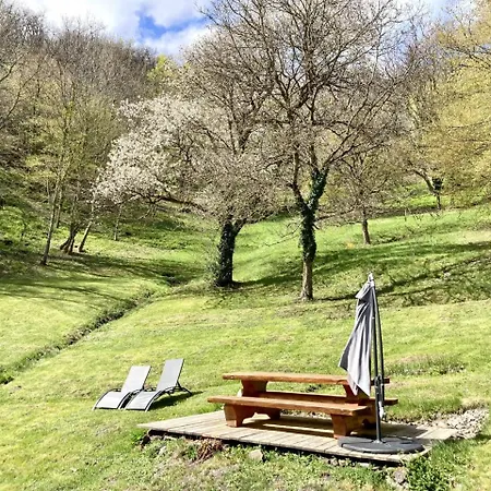 Nature & Bien-etre - Grand Ballon - Vue Foret Rimbach-près-Guebwiller