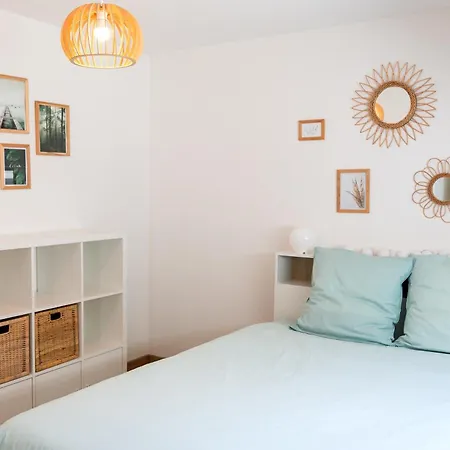 Nature & Bien-etre - Grand Ballon - Vue Foret