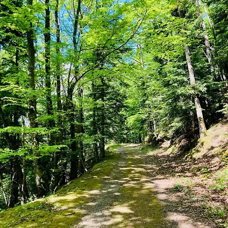 Nature & Bien-etre - Grand Ballon - Vue Foret Apartament Rimbach-près-Guebwiller